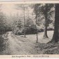 Germany Postcard RPPC Bad Georgenthal I Thuringer Partie am Berenwig
