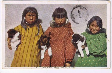 Alaska Postcard Arctic Native Children Costume and Dogs
