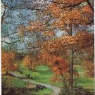 Pennsylvania Postcard Bethel Greetings From Bashore's Pantry Autumn Country Road