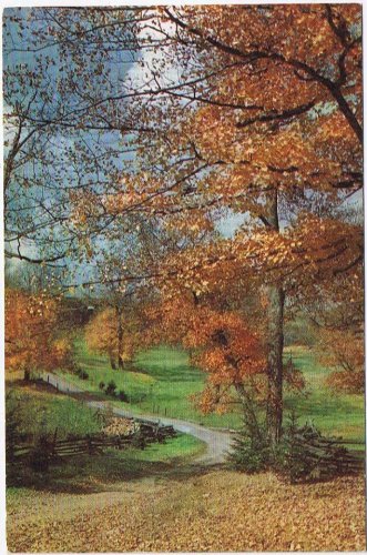 Pennsylvania Postcard Bethel Greetings From Bashore's Pantry Autumn Country Road