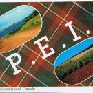 Prince Edward Island PEI Postcard Tartan With Views
