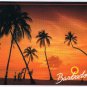 Barbados Caribbean Island Postcard Sunset Palm Trees