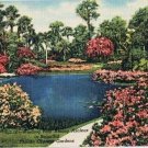 Cypress Gardens Florida Postcard Azalea Time Winding Path Curteich