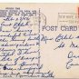 Cypress Gardens Florida Postcard Azalea Time Winding Path Curteich