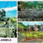 Galashiels Scotland UK Postcard Multi View Wylie's Brae Gardens Border Riever