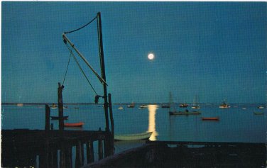 Postcard A Florida Moonlight Bay 5.5" x 8.75"