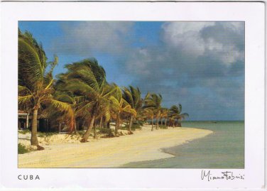 Cuba Postcard Ciego De Avila Cayo Guillermo