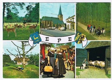 Holland Netherlands Postcard Epe Multi Deer Sheep Horses Church Kerk Peacock