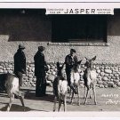 Alberta Postcard RPPC Feeding The Deer Jasper Park