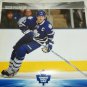 Toronto Maple Leafs Hockey 2014 Wall Calendar Monthly View With Players