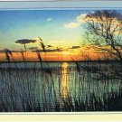 France Postcard Aubanel Sunset On Lake Friendship