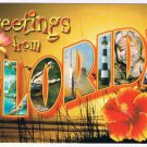 Florida Postcard Big Letter Sunshine State