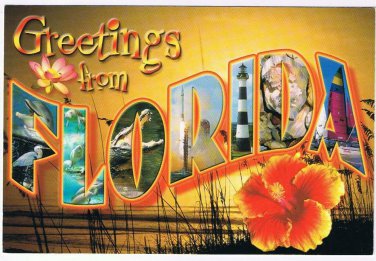 Florida Postcard Big Letter Sunshine State