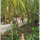 Postcard Homosassa Springs Near St Petersburg Florida