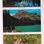 Alberta Postcard Booklet Lake Louise Canadian Rockies