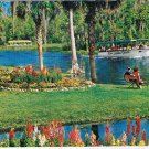 Postcard Gardens By The Silver River Silver Springs Florida