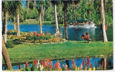 Postcard Gardens By The Silver River Silver Springs Florida