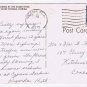 Postcard Gardens By The Silver River Silver Springs Florida