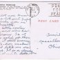 Postcard Royal Poinciana Flame Tree