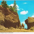 Postcard The Rocks Near Hopewell Cape New Brunswick