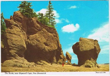Postcard The Rocks Near Hopewell Cape New Brunswick