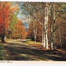 Ontario Postcard Canadian Vacationland Country Road In Autumn