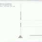 Holland Postcard Hellendoorn De Elf Provinien Hertenkamp Reindeer