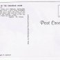 Animal Postcard Canada Mr Moose Monarch of Canadian Wilds
