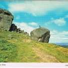 Postcard Cow & Calf Rocks Ilkley UK