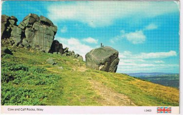 Postcard Cow & Calf Rocks Ilkley UK