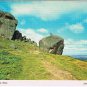 Postcard Cow & Calf Rocks Ilkley UK