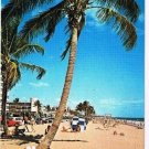 Florida Postcard Typical Florida Beach Scene Surfing Swimming Sunbathing