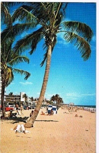 Florida Postcard Typical Florida Beach Scene Surfing Swimming Sunbathing