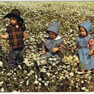 Ontario Laminated Postcard RPPC Mennonite Children in Daisy Field