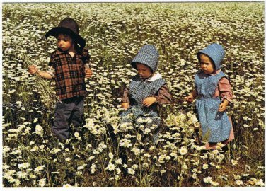 Ontario Laminated Postcard RPPC Mennonite Children in Daisy Field