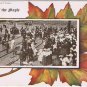 Postcard Foot Of Yonge Street Toronto Ontario Land Of The Maple