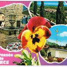 France Postcard Vence Pansy Multi View