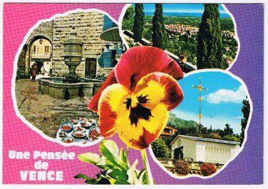 France Postcard Vence Pansy Multi View
