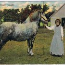 Postcard A Canadian Heavyweight Horse & Lady Knox & Co Made In USA
