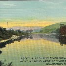Postcard Allegheny River Looking West At Bend West Of River Bridge Salamanca NY