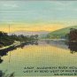 Postcard Allegheny River Looking West At Bend West Of River Bridge Salamanca NY