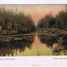 Postcard Trout Pond Deer Park Near Collingwood Ontario Warwick Bros & Rutter