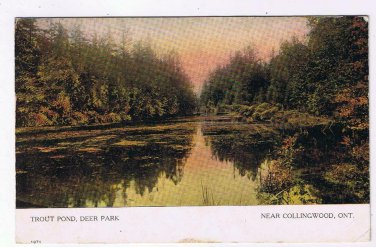 Postcard Trout Pond Deer Park Near Collingwood Ontario Warwick Bros & Rutter