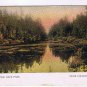 Postcard Trout Pond Deer Park Near Collingwood Ontario Warwick Bros & Rutter