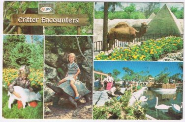 Postcard Critter Encounters Florida Cypress Gardens