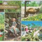Postcard Critter Encounters Florida Cypress Gardens