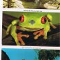 California Postcard Booklet San Diego Zoo Balboa Park