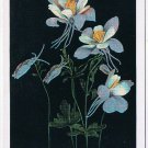 Postcard Union Pacific Columbine Flower Of Travel Comfort Colorado State Flower