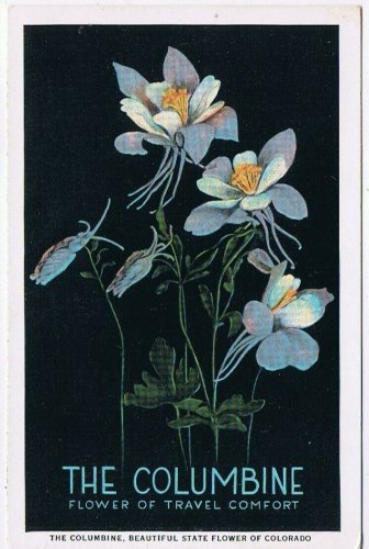 Postcard Union Pacific Columbine Flower Of Travel Comfort Colorado State Flower