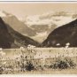 Postcard RPPC Lake Louise Spring Flowers Alberta Byron Harmon Along The CPR Line